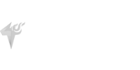 TF